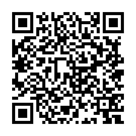 QR code for IAU8733