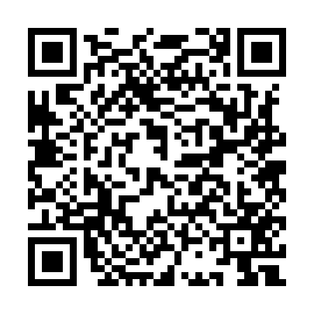 QR code for ICB9575