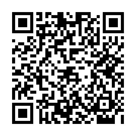 QR code for ICE2339