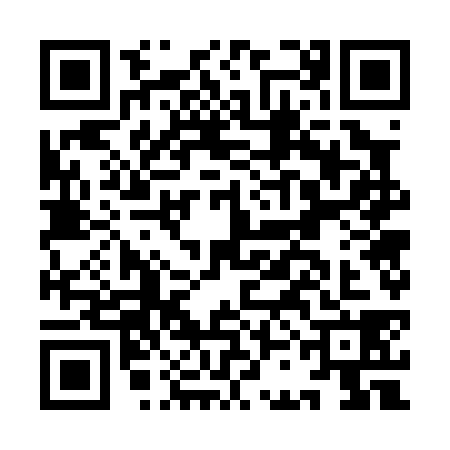 QR code for ICG0383