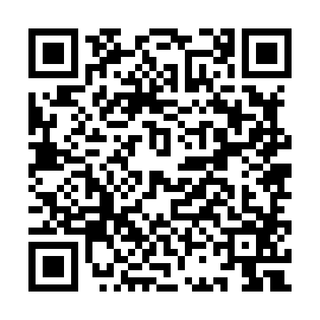 QR code for ICJ8863