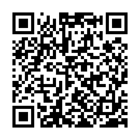 QR code for ICO533
