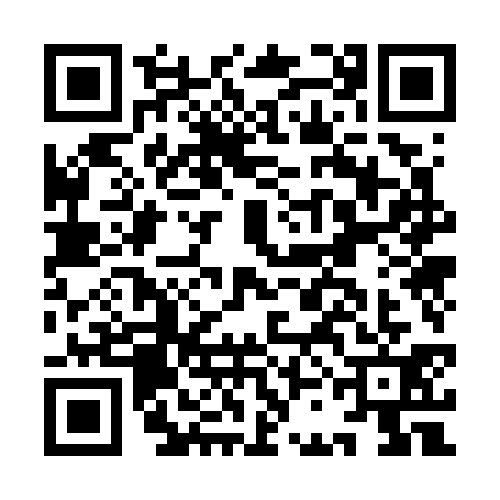 QR code for ICO7312