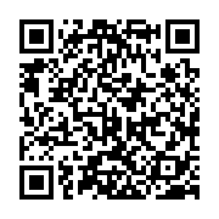 QR code for ICX338