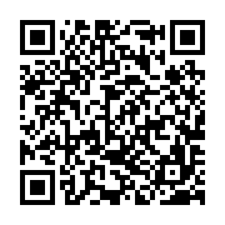 QR code for IDL296