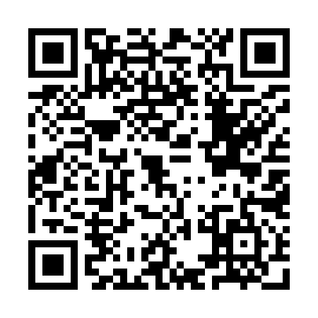 QR code for IEE9953