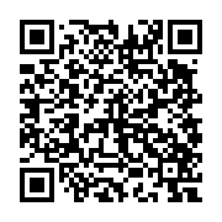 QR code for IEF447