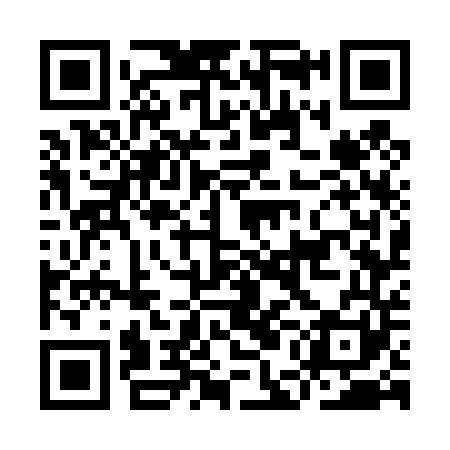 QR code for IEG441