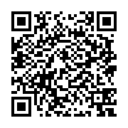 QR code for IFI4384