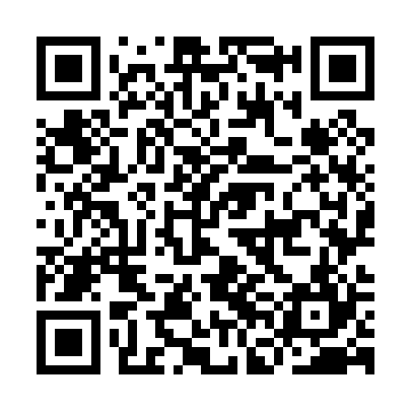 QR code for IFO024