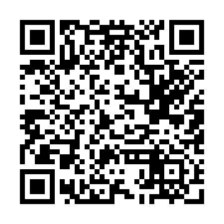 QR code for IHE313