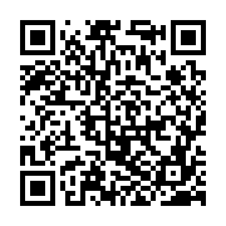 QR code for IHO376