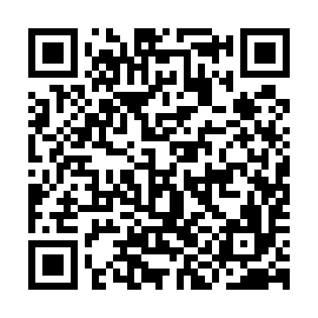 QR code for IIA596