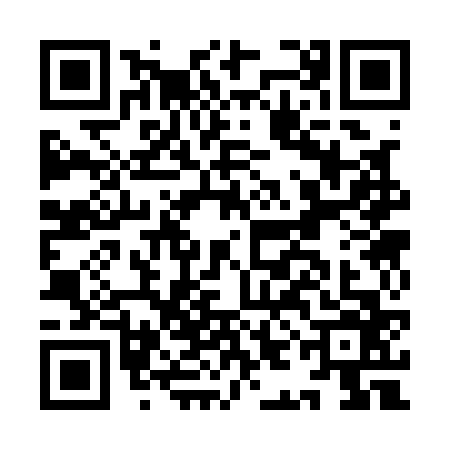 QR code for IIC1668
