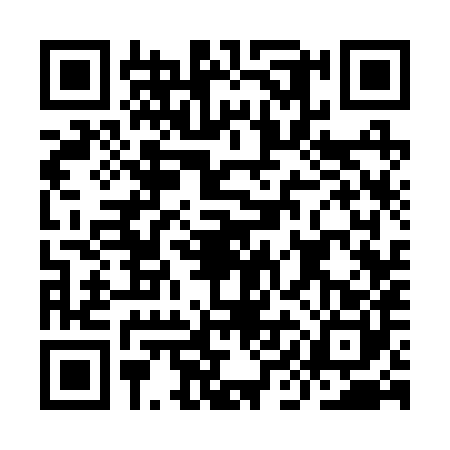 QR code for IIC2801