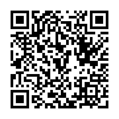 QR code for IIC3230
