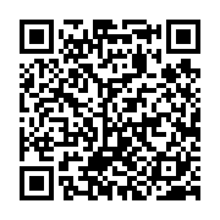 QR code for IID621