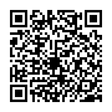 QR code for IIE3294