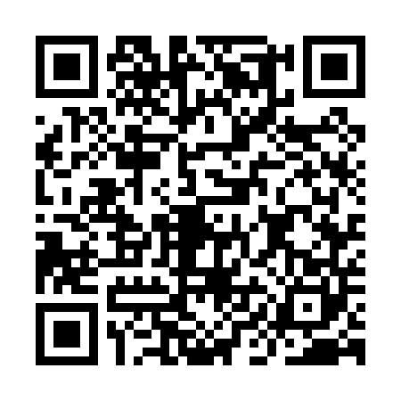 QR code for IIG0401