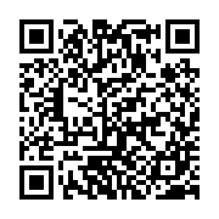 QR code for IIG287