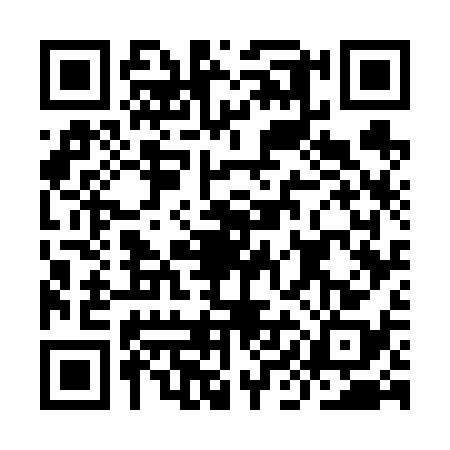 QR code for IIG6380