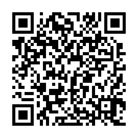 QR code for IIJ207