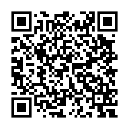 QR code for IIM065