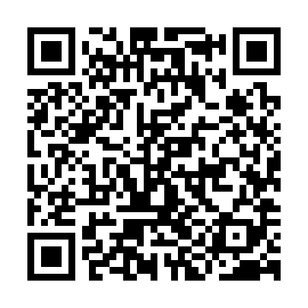 QR code for IIM389