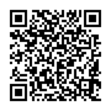 QR code for IIM793