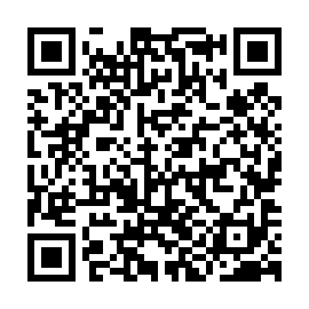 QR code for IIN491