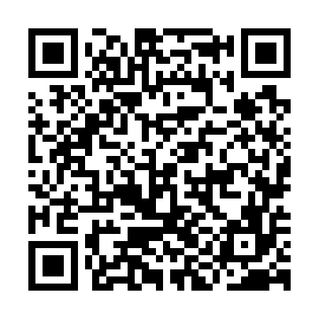 QR code for IIN756
