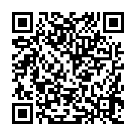 QR code for IIP598