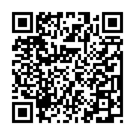QR code for IIS4484
