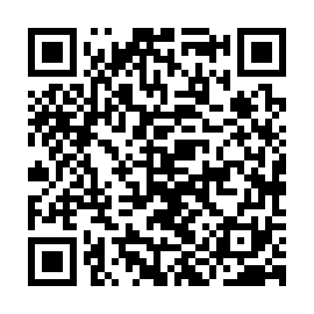 QR code for IIX371
