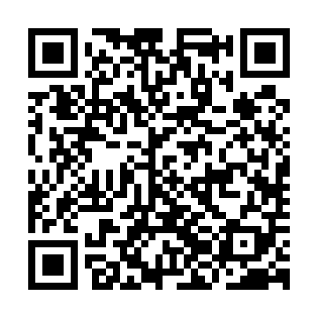 QR code for IJB509