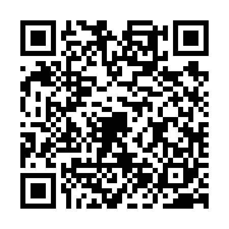 QR code for IJB6603