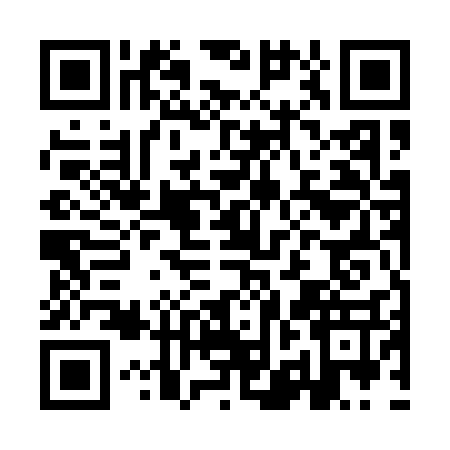QR code for IJE1371