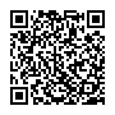 QR code for IJF549