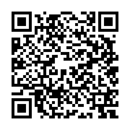 QR code for IJG4206