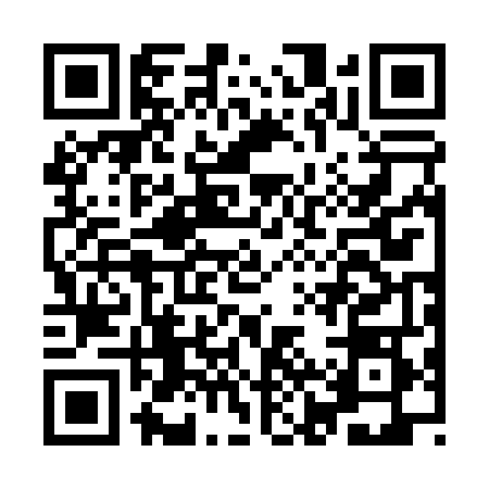 QR code for IJR0484