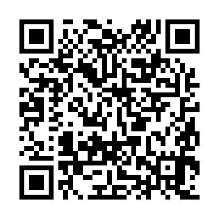 QR code for IJS195