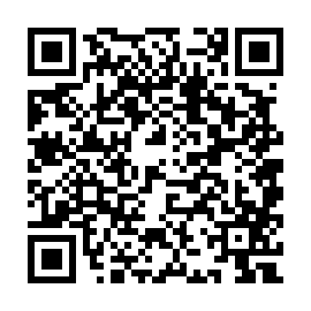 QR code for IJV4878