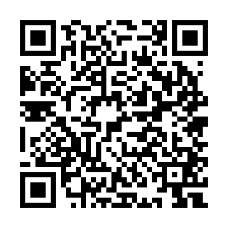 QR code for INE2417