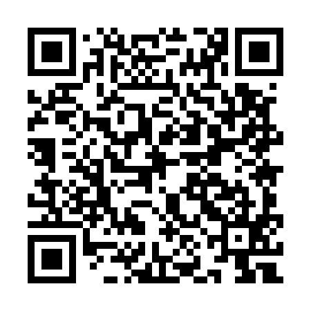 QR code for INM595