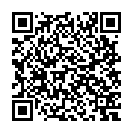 QR code for INR173