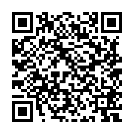 QR code for INS8481