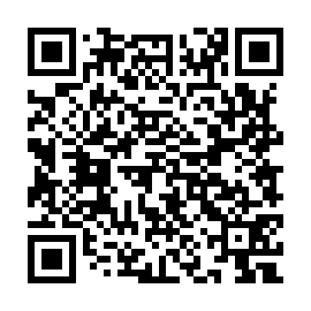 QR code for INT971