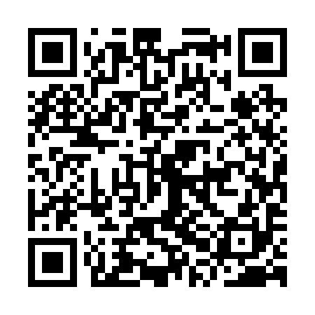 QR code for IPE290