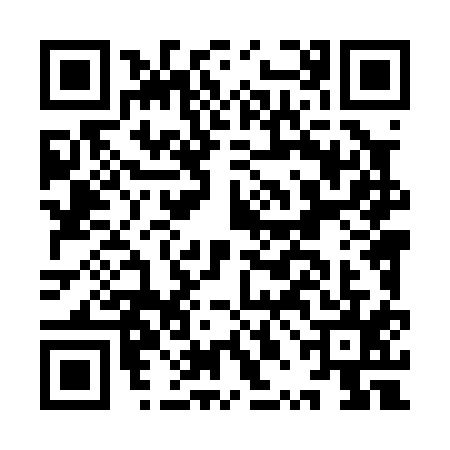QR code for IPL0156
