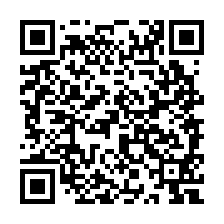 QR code for IPN390